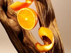 Hot Rituals Body Cream and Refill Pack