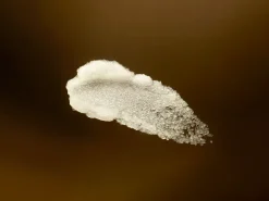 Sale Rituals Body Scrub