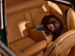 New Rituals Car Air Freshener