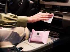 Best Rituals Car Wipes