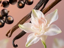 Discount Rituals Ciel Rouge