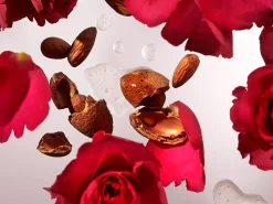 Outlet Rituals Coconut Milk Bath