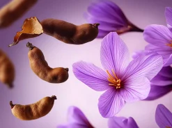 New Rituals Daily Moisturiser SPF 50