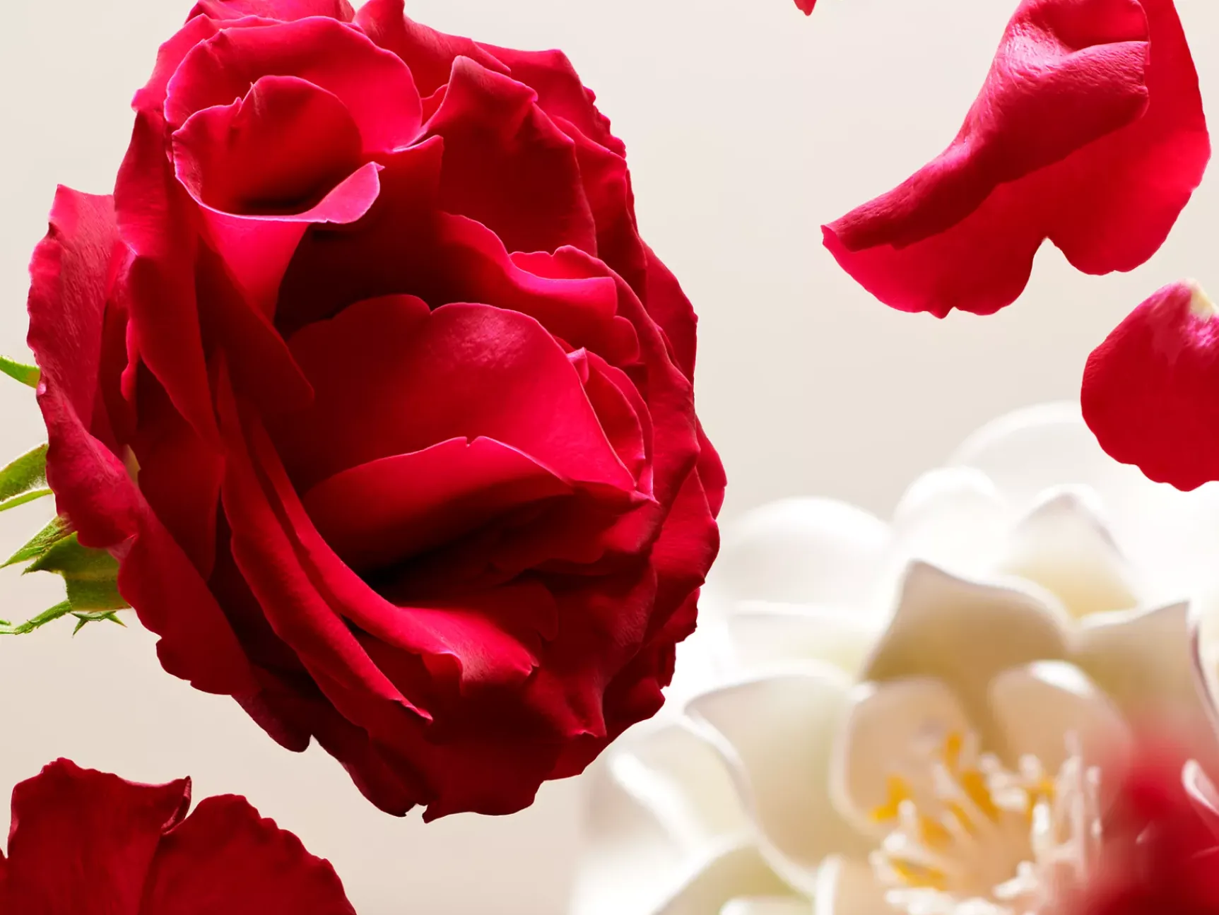 Sale Rituals Eye Make-Up Remover