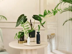 Sale Rituals Fragrance Sticks