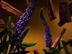 New Rituals Hair & Body Mist