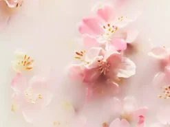 Hot Rituals Hair & Body Mist