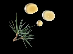 Clearance Rituals Hand Lotion