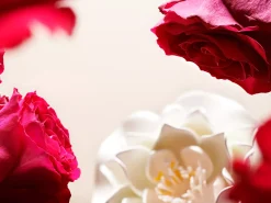 Online Rituals Hydrating Eye Cream