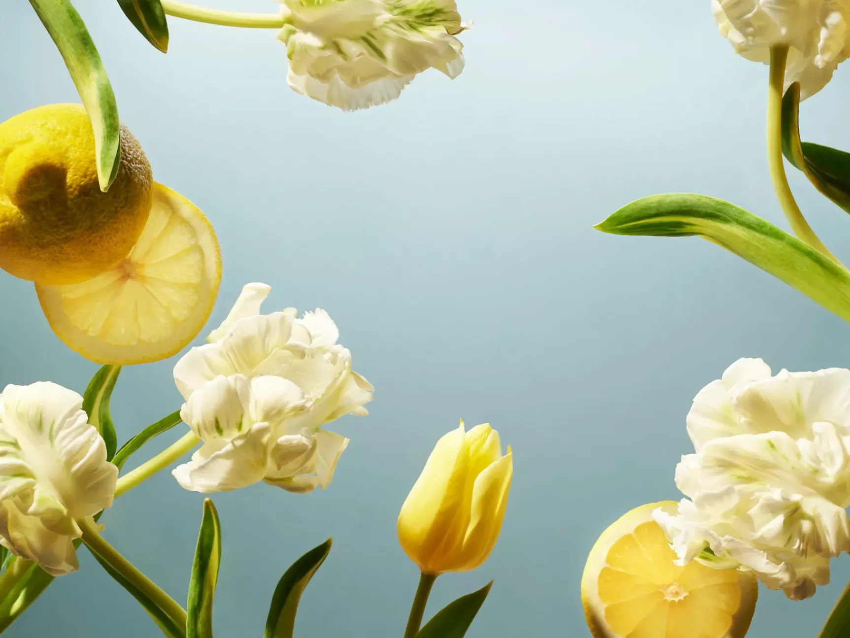 Outlet Rituals Kitchen Hand Balm