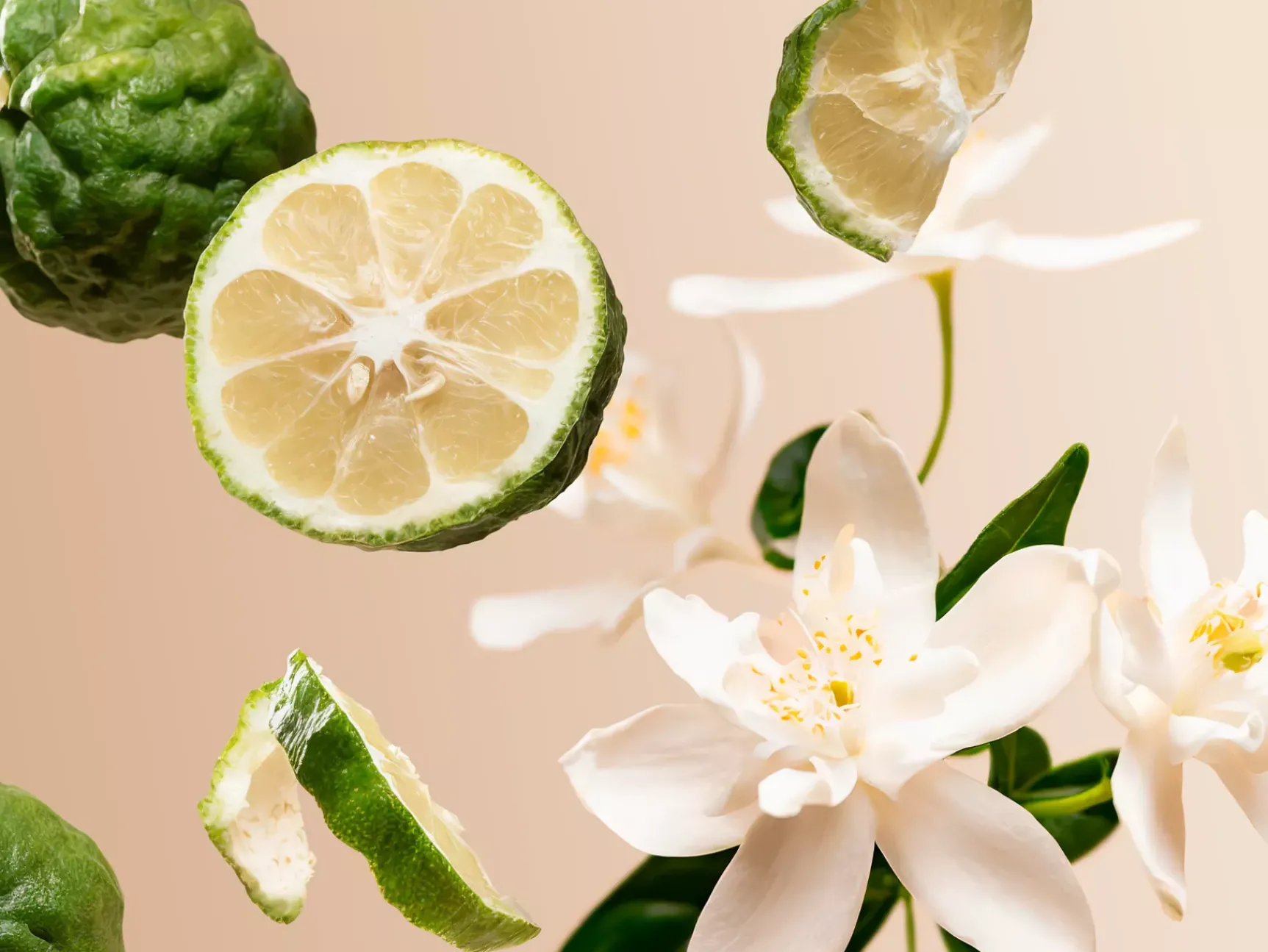 New Rituals Positivity Refill Fragrance Sticks