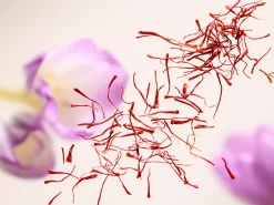 Sale Rituals Remembrance Candle