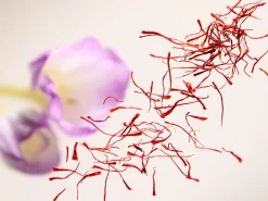 Sale Rituals Remembrance Candle