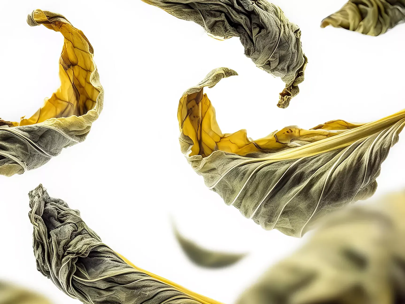 Hot Rituals Royal Tea Hand Wash