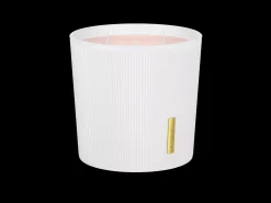 Hot Rituals Scented Candle