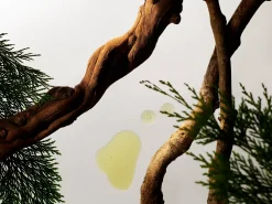 Sale Rituals Shampoo