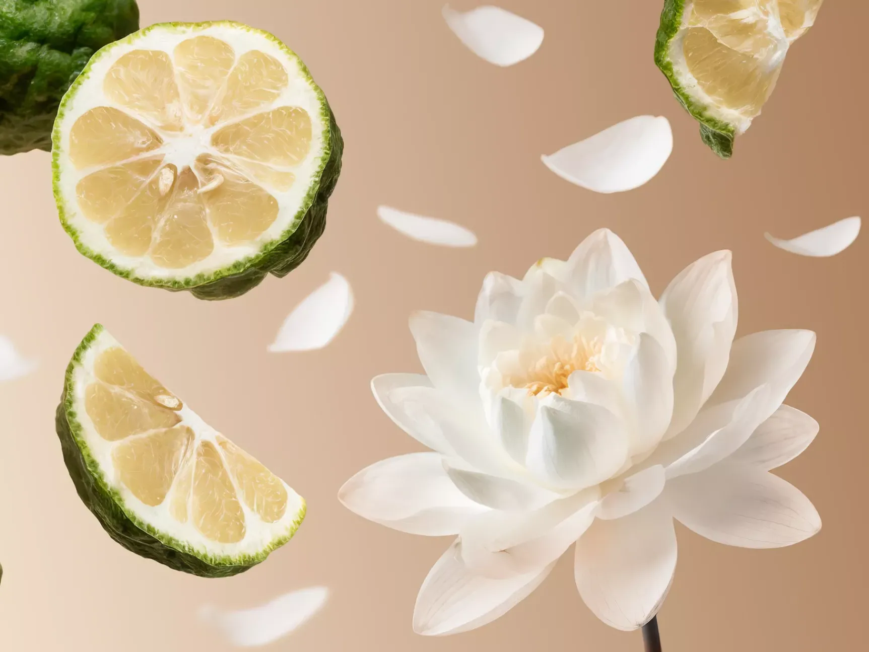 Clearance Rituals Soleil d'Or