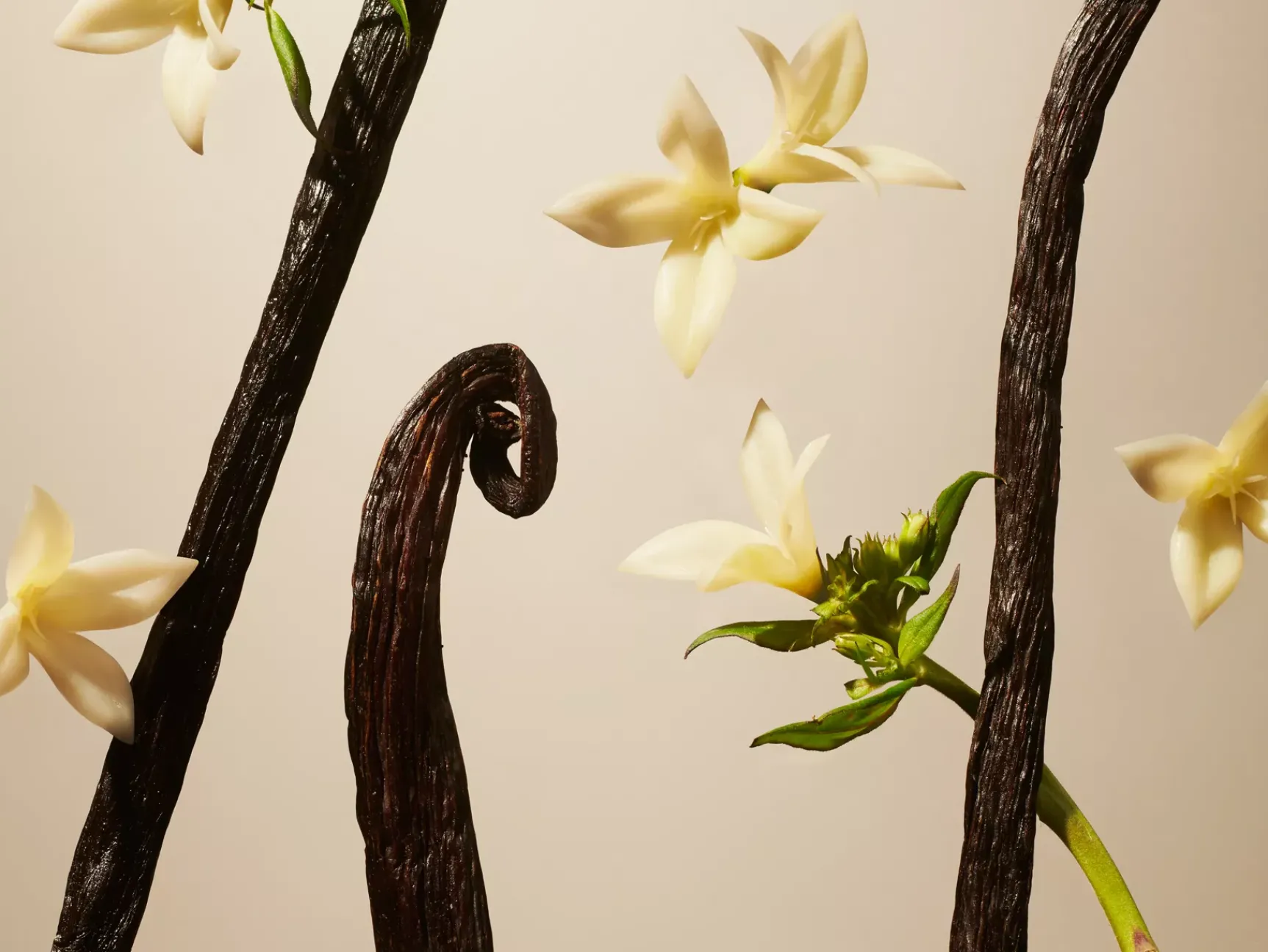 Clearance Rituals Suede Vanilla Car Perfume