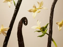 Outlet Rituals Suede Vanilla Mini Fragrance Sticks