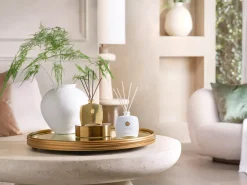 Hot Rituals Sweet Jasmine Mini Fragrance Sticks