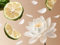 New Rituals Travel - Eau De Parfum Soleil d'Or