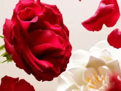 Hot Rituals Travel - Eye Make-Up Remover