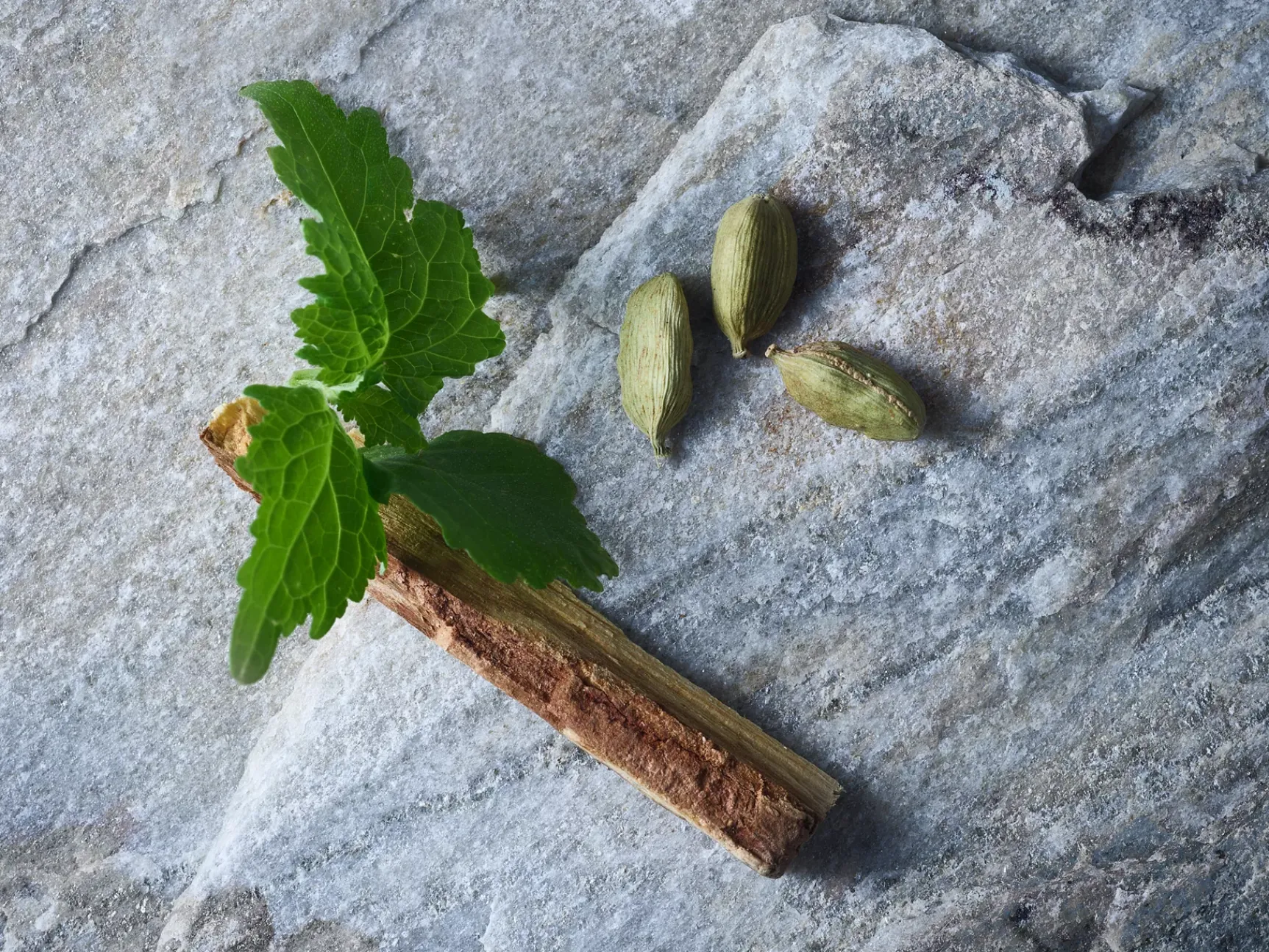 Discount Rituals Travel - L'Essentiel Eau de Parfum