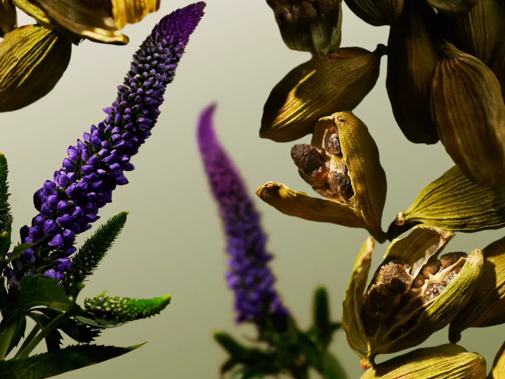 Discount Rituals Travel - L'Essentiel Eau de Parfum