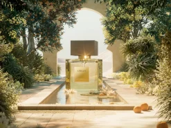 Clearance Rituals Travel - Nuit de l’Himalaya